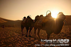 Wangenchuan采集到旅游-梦牵鸣沙山月牙泉