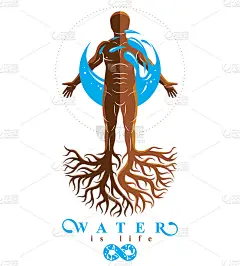 肌肉的人的矢量图形插图，个人创建的树根和被一个水球包围。人类水资源储备的隐喻。