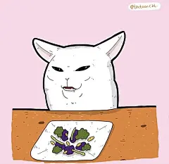 猫咪迷惑行为大赏！这40个猫咪的爆笑瞬间，每一张都是表情包哈哈哈哈 (16)