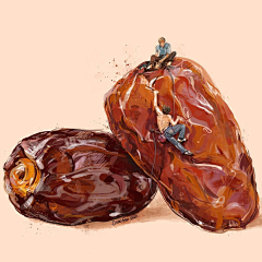 洛伊69采集到插画集——美食绘