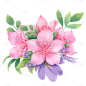 植物通用插画花朵组合元素素材