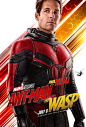 蚁人2：黄蜂女现身 Ant-Man and the Wasp 海报