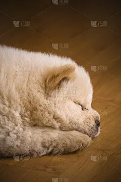 周润发