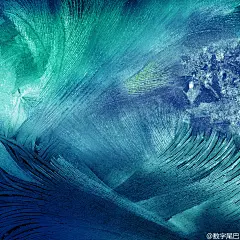 数字尾巴的照片 - 微相册 #素材#