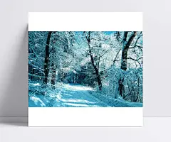 森林雪景|雪景,北国风光,冬天雪景,雪乡,冬天,白雪,冰雪,冬季,风景,东北风光,中国雪乡,雪,冬日壁纸,森林,自然 / 风光,高清背景