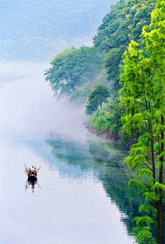 茕茕白兔0采集到风景