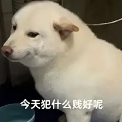 表情包 - 小红书