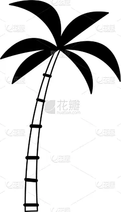 分离着色,棕榈树,黑白图片,复叶,环境,植物群,自然美,植物,夏天,剪影