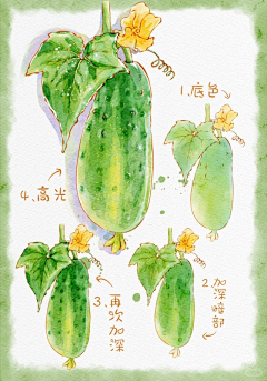 rin12121212采集到插画