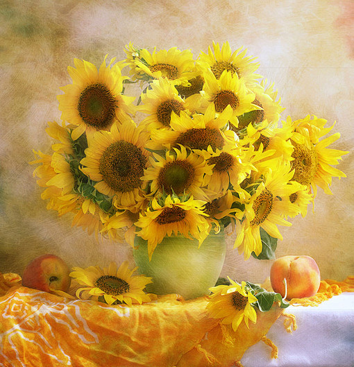 【乌克兰】——唯美花卉摄影 不是油画哦 ...
