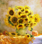 【乌克兰】——唯美花卉摄影 不是油画哦 来自微笑堇堇在堆糖网的分享