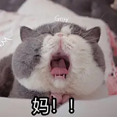 表情包/缺钱