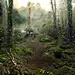 NATURE REVEANGE : Projecte create for TBWA/Paris