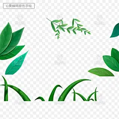 手绘绿叶,手绘叶子,手绘树叶,绿叶,树叶,春天,春季,春上新,春季上新,png,免扣素材,