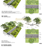 绿道景观文本漫步跑道自行车道生态滨水公园景观改造设计方案文本-淘宝网
