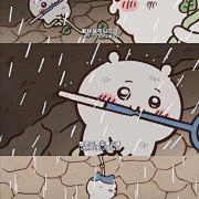 李梓木1采集到吉伊