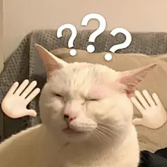 猫狗表情包