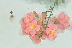 二十四节气对应的花朵 : 1、立春2月3-5日(阴历腊月十六日)：迎春花迎春花与梅花、水仙和山茶花统称为“雪中四友”，当迎春花开放的时候说明离春天也就不远了，这时候天气也渐渐回暖，所以十四节气对应的花...