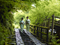 日本京都·"虹夕诺雅"精品度假酒店 | SOHO设计区 : 在这座拥有百年历史的旅馆内，
每一个角落都充满了京都的传统建筑风格和其辉煌历史。
木刻雕版设计的客房、精致美味的怀石料理、景致迷人的园景……时光恍如永恒停留在京都岚山，
置身于这座古代贵族的优雅庭园中。