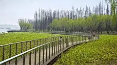 长沙坪塘巴溪洲丨SWA