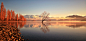 Lone Tree Morning by Jomy Jose on 500px

no person  lake wanaka