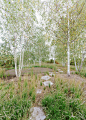 Opera Park / Cobe - Exterior Photography, Garden, Forest