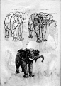 【资料交流】动物画技法 中文版 扫描_看图_动物绘画吧_百度贴吧