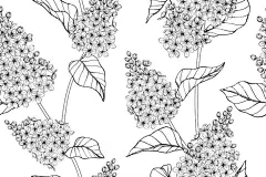 绣球花图案  - 源文件下载【酷图网】绣球花图案,卡通,素材,插图,元素,矢量,可爱,绣球花素材,卡通绣球花,手绘,壁纸,插画,清新,无缝,印花,循环,连续,图案,数码,布料,服装,包装,包装纸,简约,时尚,背景,四方,平铺,绣球花,底纹,面料,碎花图案,女装,花型,欧式,家居,花卉,家纺,花朵,鲜花,花,八仙花,紫阳花,蓝色,线稿