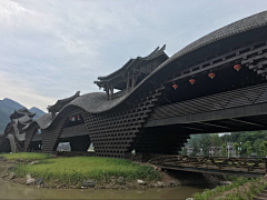 花房姑娘的指尖采集到场景