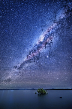 Dona豆花采集到浪漫·星空