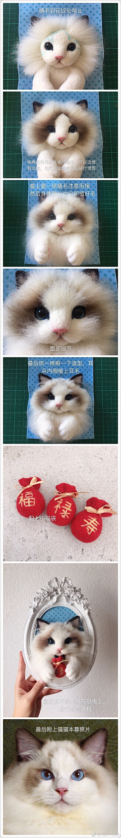 胡雪丽Shirley采集到布偶猫