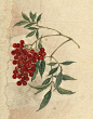 缪谷瑛 《百花图》