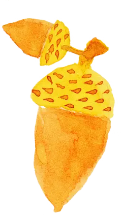 秋季秋天水彩金黄色唯美花环叶子卡片手账贺卡PNG免扣装饰PS素材