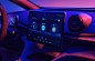 BYD-海豚