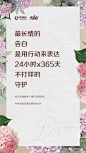 24  绿城