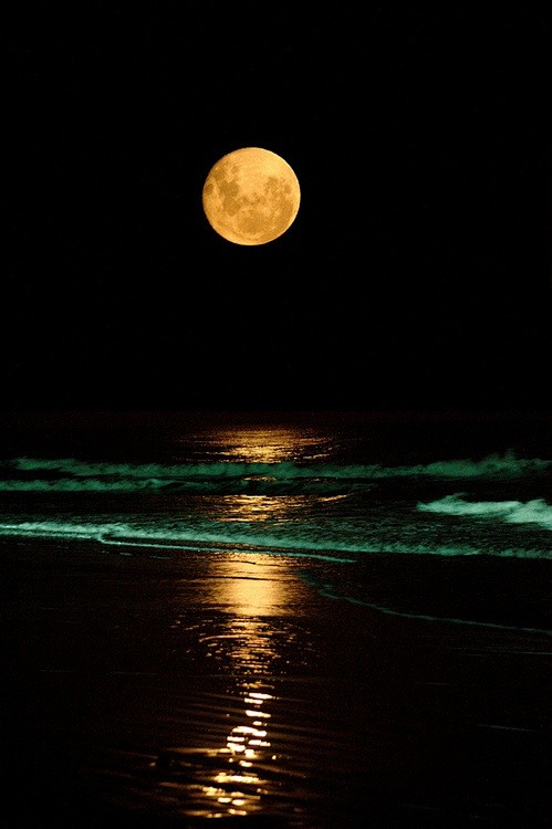  海上生明月，天涯共此时