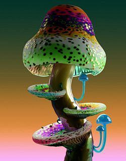 稀有蘑菇：乔纳森·扎瓦达