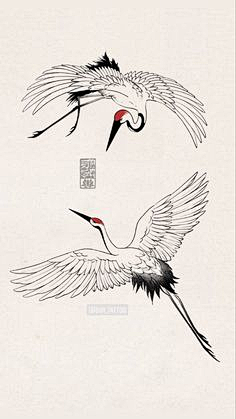 young588采集到插画