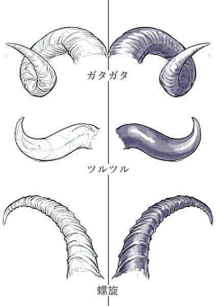 大燕子哒采集到角