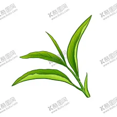 茶叶海报 【酷图网】新鲜叶子,绿色叶子,采摘茶叶,嫩叶,春茶,白茶,红茶,绿茶,茶业,春天的叶子,翠绿的叶子,仿真叶子,手绘叶子,手绘茶叶