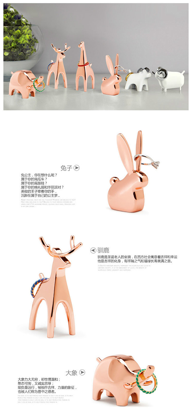 兔子 兔公主，你在想什么呢？ 属于你的南...