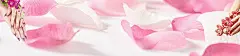 美甲,养生,护肤,美容,名片,背景,banner,海报banner,文艺,小清新,简约图库,png图片,,图片素材,背景素材,96136北坤人素材@北坤人素材