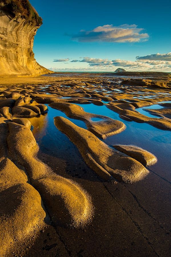 Muriwai Beach by Mik...