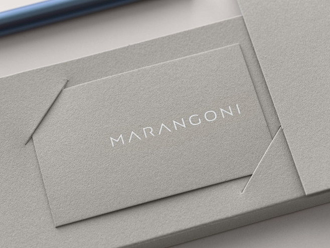 Marangoni Logo & Bra...