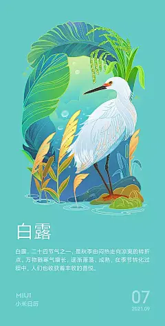 2021小米日历插画海报-白露