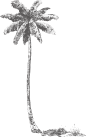 PalmTree_06