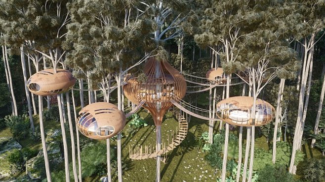 Hotel complex located on the trees of a forest that are connected to ...