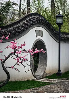 我看到的VS我拍到的｜南京春日壁纸限时上新 - 小红书