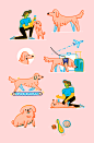 其中包括图片：Seguridad canina Vamos LATAM