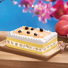 SI3dZtos采集到版式
